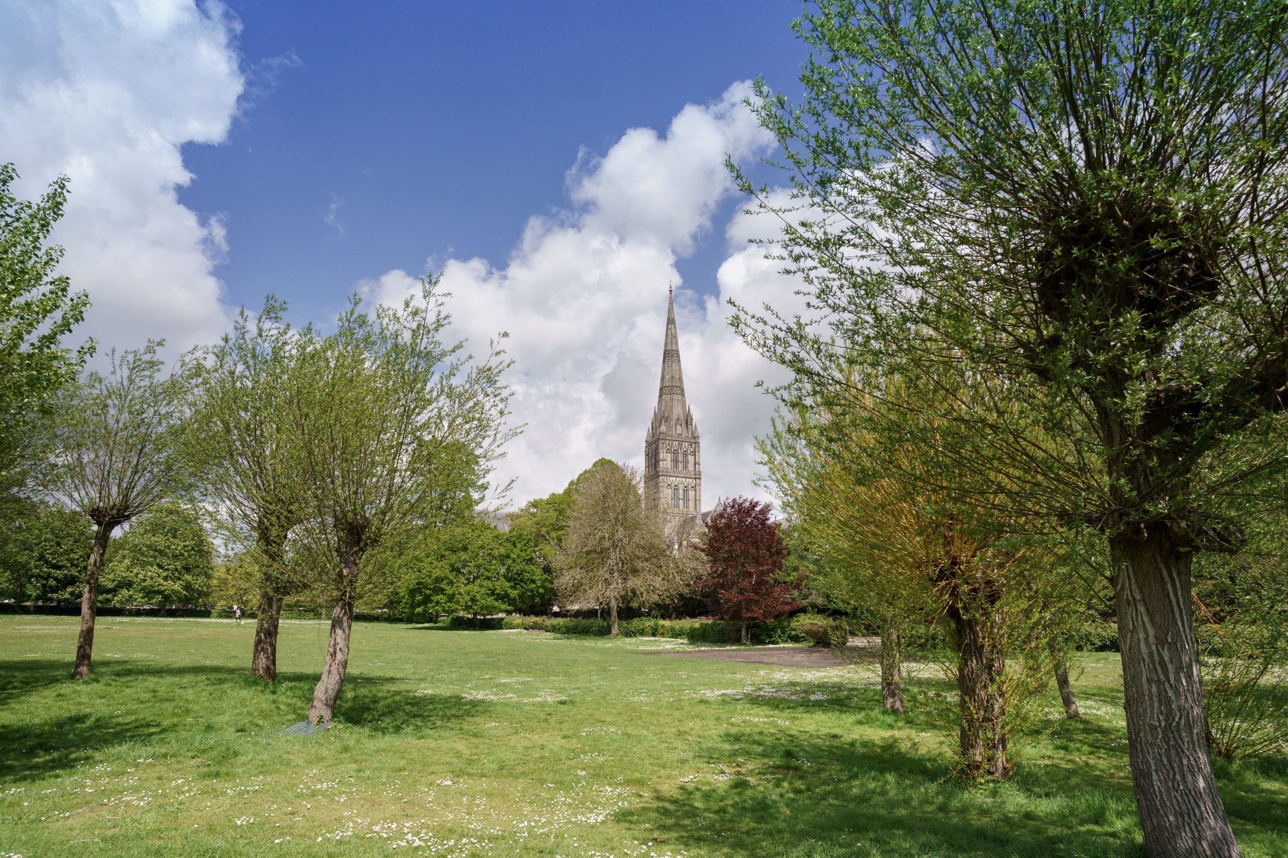Park view of Salisbury Cathedral
