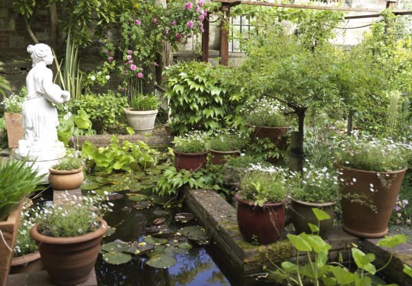 The Secret Gardens of The Close