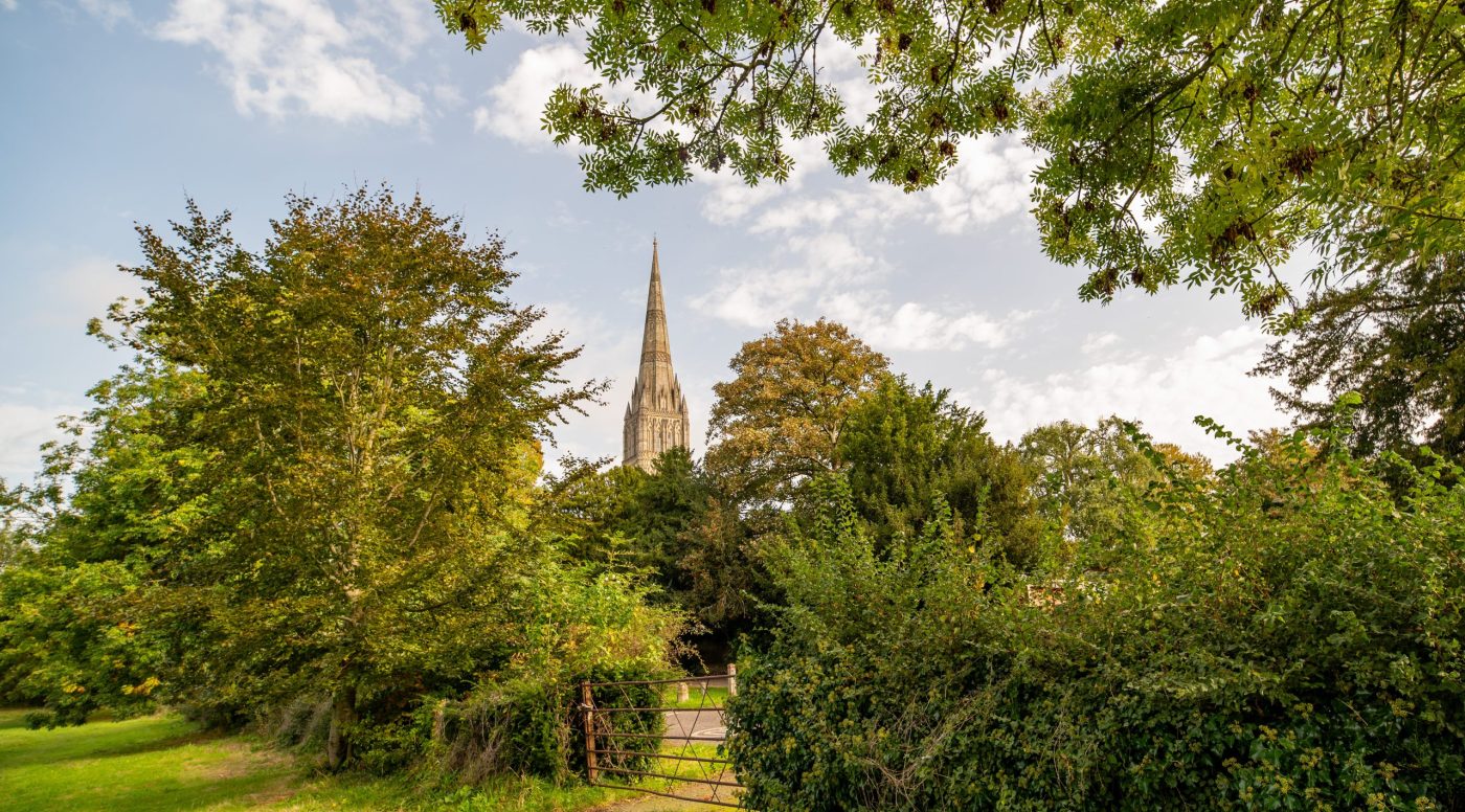 View of the spire in the distance, beyond the trees and fields