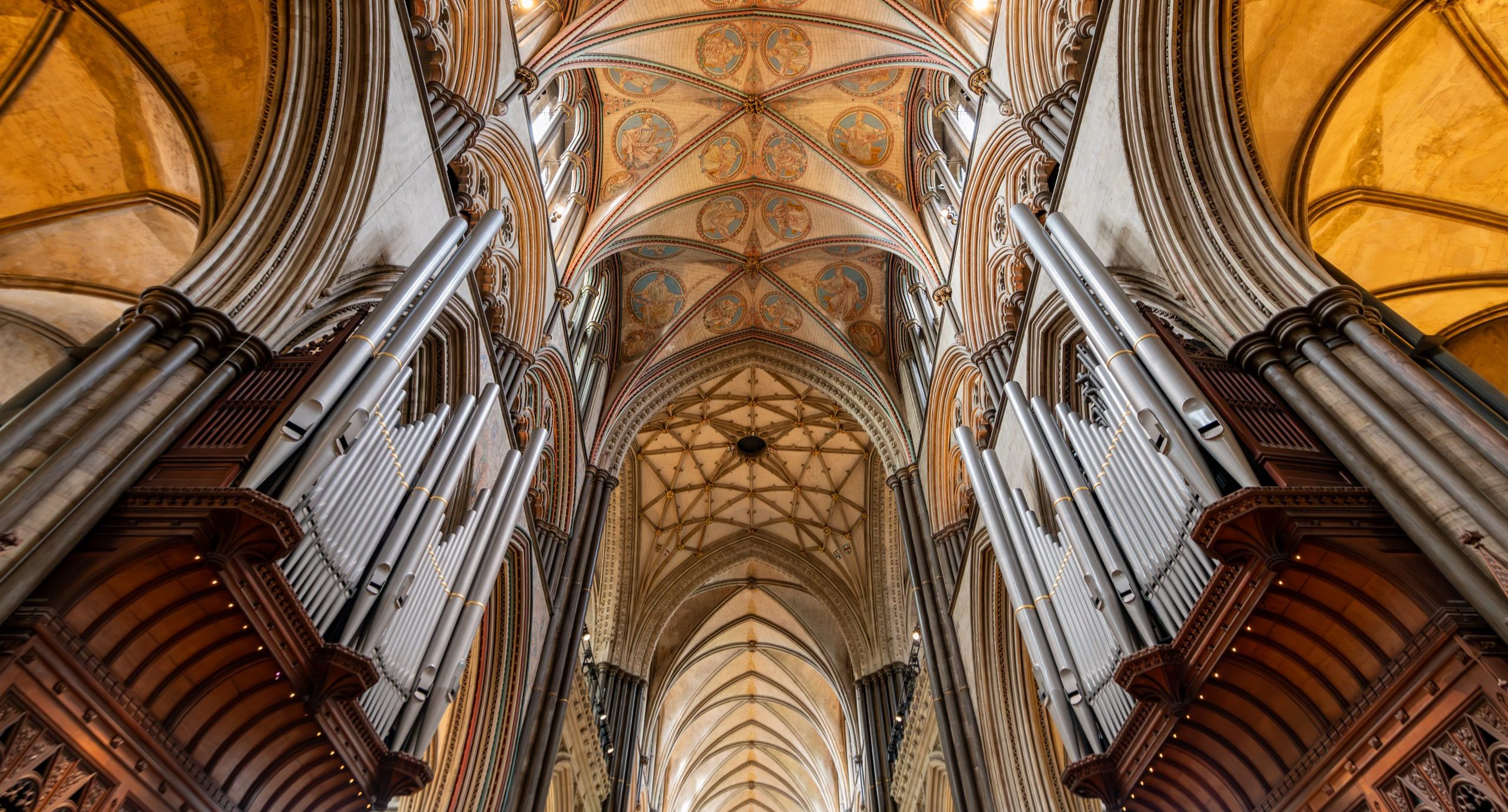 (未使用･未開封品)Grand Organ of Salisbury Cathedral [DVD] Grand Organ of Salisbury Cathedral - David Halls - DVD & CD
