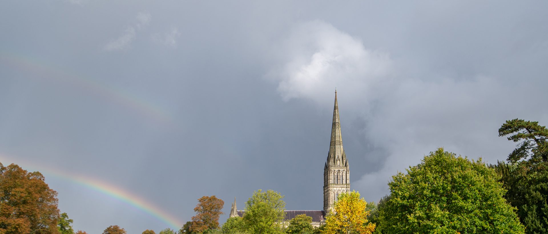 Bearing Witness: Nick Maynard