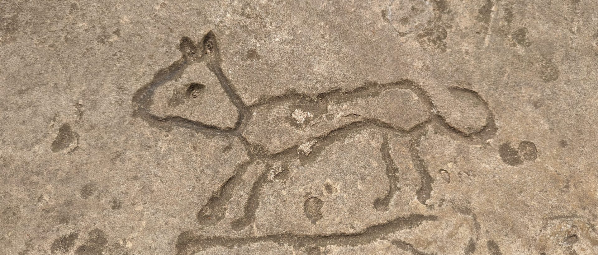 Medieval Graffiti Children's Trail