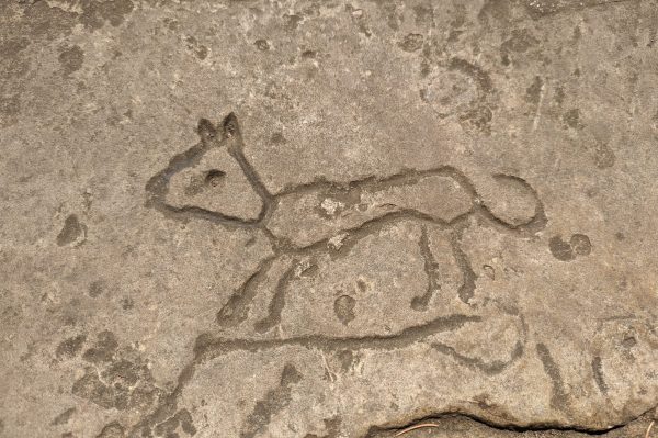Medieval Graffiti Children's Trail