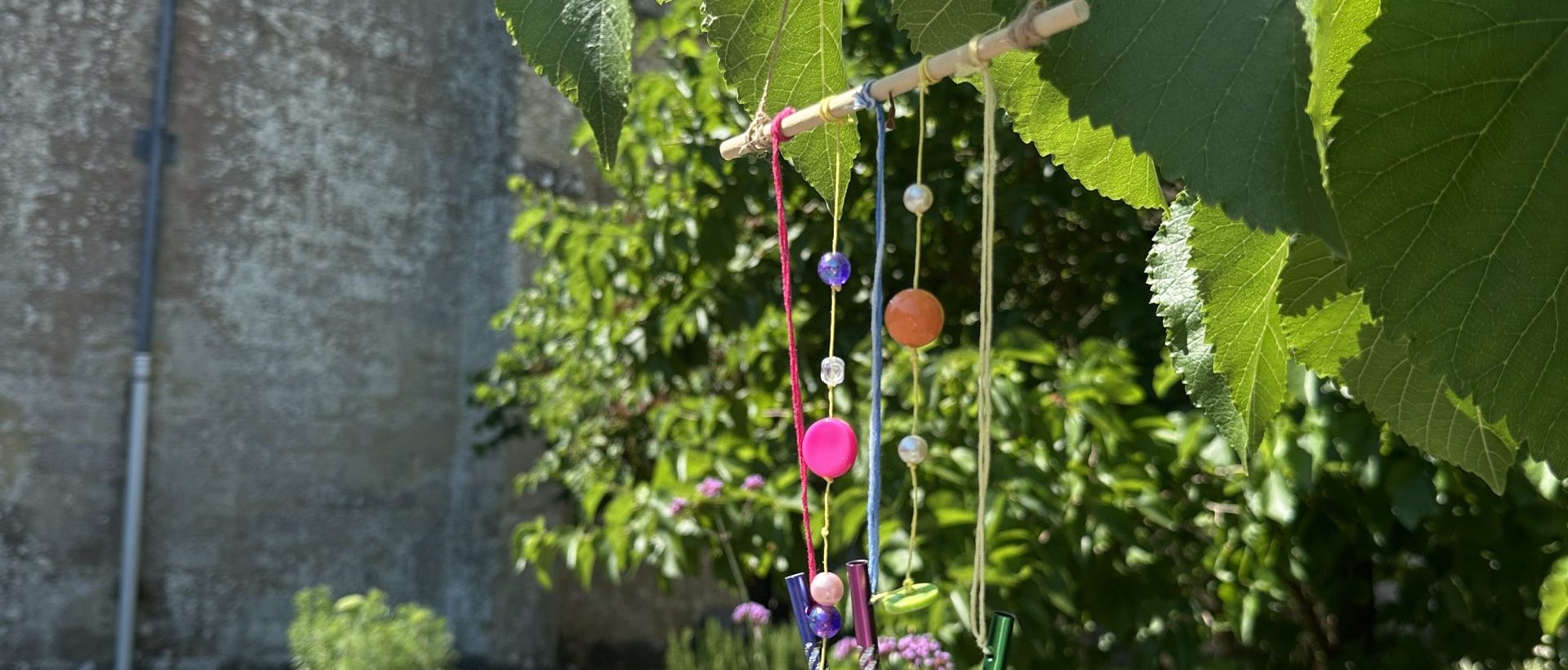 Photo showing a colourful windchime hanging from the branch of a tree in the sunshine