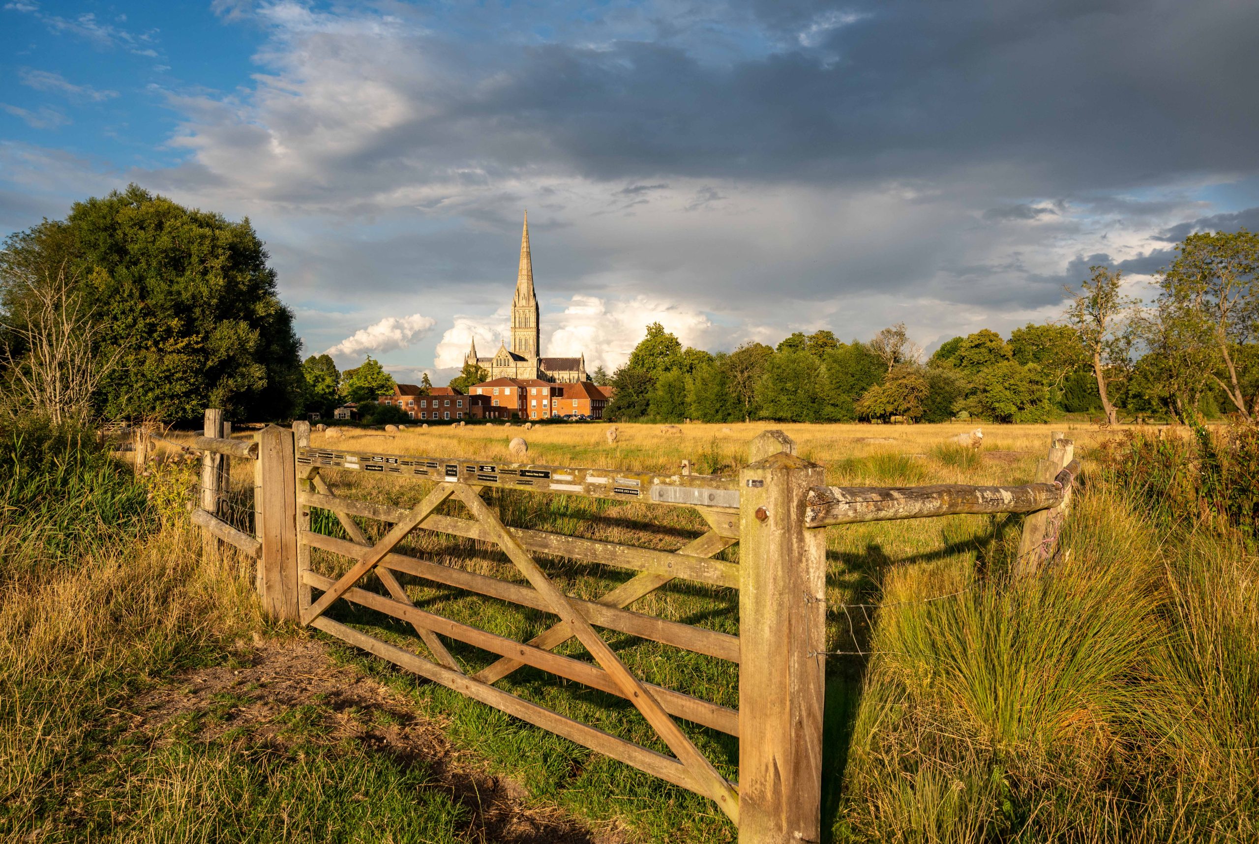 View of the Cathedral in the distance across golden fields