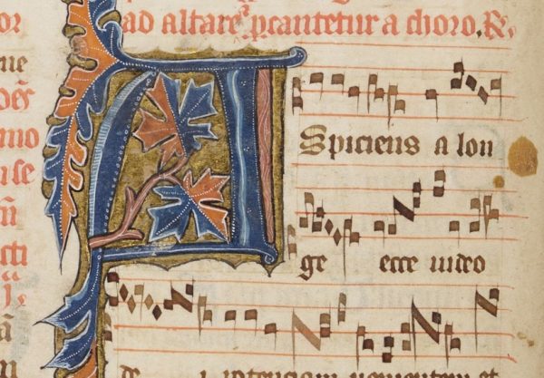 The Sound of History Musical Treasures from the Cathedral Collections